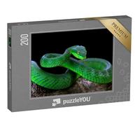 puzzleYOU : Puzzle de 200 pièces « Serpent Vert albolaris »