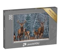 puzzleYOU : Puzzle de 200 pièces « Un Troupeau de Cerfs dans Une forêt hivernale »