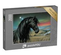 puzzleYOU : Puzzle de 2000 pièces « Balade étoilée au Pays des Merveilles »