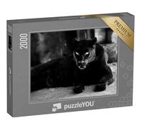 puzzleYOU : Puzzle de 2000 pièces « Belle panthère Noire »