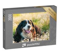 puzzleYOU : Puzzle de 2000 pièces « Bouvier Bernois dans Un pré Fleuri »