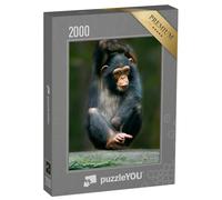 puzzleYOU : Puzzle de 2000 pièces « Chimpanzé comme Singe Humain d'Afrique »