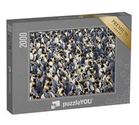 puzzleYOU : Puzzle de 2000 pièces « Colonie de manchots royaux »