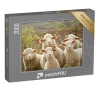 puzzleYOU : Puzzle de 2000 pièces « des Moutons Curieux »