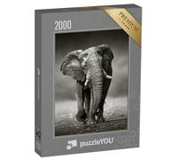 puzzleYOU : Puzzle de 2000 pièces « Eléphant d'Afrique dans Le Parc National d'Etosha, Namibie, Noir et Blanc »
