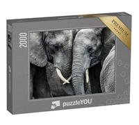 puzzleYOU : Puzzle de 2000 pièces « Éléphants »