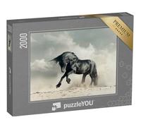 puzzleYOU : Puzzle de 2000 pièces « Étalon Noir Sauvage dans Le désert »