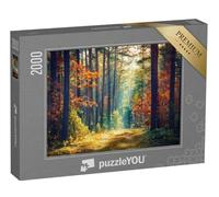 puzzleYOU : Puzzle de 2000 pièces « Forêt d'automne ensoleillée »