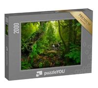 puzzleYOU : Puzzle de 2000 pièces « Forêt Tropicale Asiatique »