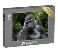 puzzleYOU : Puzzle de 2000 pièces « Gorille des Plaines de l'Ouest mâle à Dos argenté »