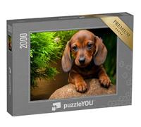 puzzleYOU : Puzzle de 2000 pièces « Jardin d'été avec Teckel »