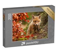 puzzleYOU : Puzzle de 2000 pièces « Jeune Renard Curieux »