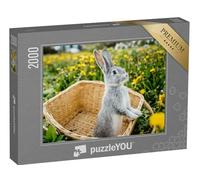 puzzleYOU : Puzzle de 2000 pièces « Lapin Gris dans Un Panier sur Une Prairie de pissenlits »