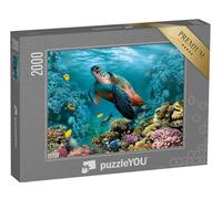 puzzleYOU : Puzzle de 2000 pièces « Monde sous-Marin avec Une Tortue et des coraux »