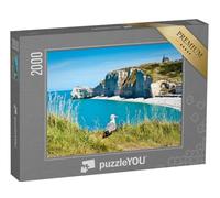 puzzleYOU : Puzzle de 2000 pièces « Mouette sur Une Plage rocheuse. Normandie, Côte d'Albatre, France. »