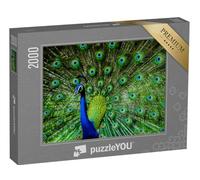 puzzleYOU : Puzzle de 2000 pièces « Paon mâle Indien »