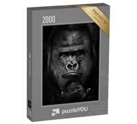 puzzleYOU : Puzzle de 2000 pièces « Regard Lourd du Gorille mâle Dominant Fort »