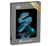puzzleYOU : Puzzle de 2000 pièces « Serpent vipérin venimeux »