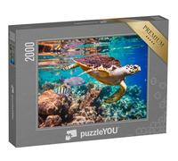 puzzleYOU : Puzzle de 2000 pièces « Tortue imbriquée dans Le récif corallien »