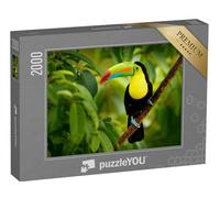 puzzleYOU : Puzzle de 2000 pièces « Toucan au Costa Rica »