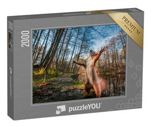 puzzleYOU : Puzzle de 2000 pièces « Un drôle d'écureuil Rouge Pose dans la forêt »