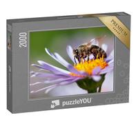 puzzleYOU : Puzzle de 2000 pièces « Une Abeille à Miel sur Une Fleur »