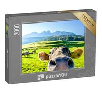 puzzleYOU : Puzzle de 2000 pièces « Vache curieuse »