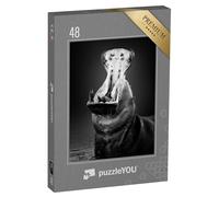 puzzleYOU : Puzzle de 48 pièces « Hippopotame avec la Gueule Grande Ouverte dans l'eau »