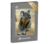puzzleYOU : Puzzle de 48 pièces « Koala, Assis sur Le Sol, Queensland, Australie »