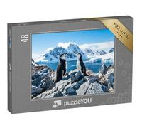 puzzleYOU : Puzzle de 48 pièces « Pingouin torda, Antarctique, Janvier 2019 »