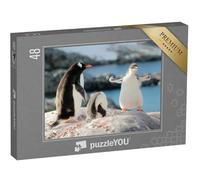 puzzleYOU : Puzzle de 48 pièces « Qui est Le Pingouin Le Plus Fort ? »