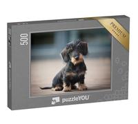 puzzleYOU : Puzzle de 500 pièces « Adorable Chiot Teckel Nain à Poil Dur »