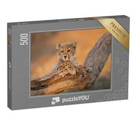 puzzleYOU : Puzzle de 500 pièces « Bébés guépards sur Une Branche dans Le Parc Kruger, Afrique du Sud »