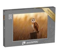puzzleYOU : Puzzle de 500 pièces « Belle Chouette effraie sur Une souche d'arbre »