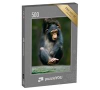 puzzleYOU : Puzzle de 500 pièces « Chimpanzé comme Singe Humain d'Afrique »