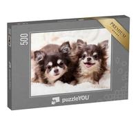 puzzleYOU : Puzzle de 500 pièces « D'adorables Chiens Chihuahua sur Une Couverture »