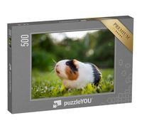 puzzleYOU : Puzzle de 500 pièces « des cochons d'Inde dans Une Prairie »