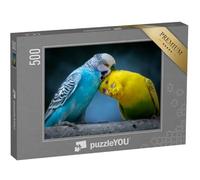 puzzleYOU : Puzzle de 500 pièces « Deux adorables perruches sur Une Branche d'arbre »