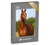 puzzleYOU : Puzzle de 500 pièces « Étalon trakehner Couleur châtaigne »