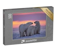 puzzleYOU : Puzzle de 500 pièces « Famille d'ours Polaires au Coucher du Soleil dans l'Arctique Canadien »