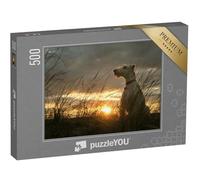 puzzleYOU : Puzzle de 500 pièces « Fox-Terrier à Poil Dur au Coucher du Soleil »