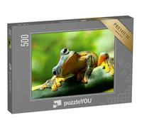 puzzleYOU : Puzzle de 500 pièces « Grenouille curieuse »