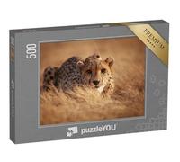 puzzleYOU : Puzzle de 500 pièces « Guépard, prêt à bondir »