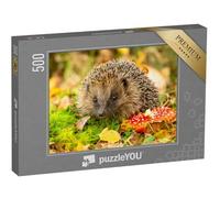 puzzleYOU : Puzzle de 500 pièces « Hérisson et amanite Tue-Mouches »