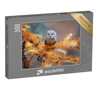puzzleYOU : Puzzle de 500 pièces « Hibou Petit-duc, Otus scops, Une Chouette typique »