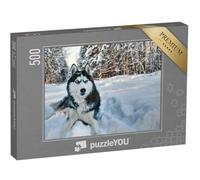 puzzleYOU : Puzzle de 500 pièces « Husky dans la Neige »