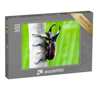 puzzleYOU : Puzzle de 500 pièces « Imposant scarabée rhinocéros mâle »