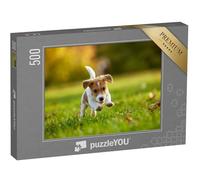 puzzleYOU : Puzzle de 500 pièces « Jack Russell Terrier Jouant dans Un Parc en Automne »
