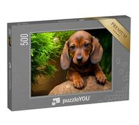 puzzleYOU : Puzzle de 500 pièces « Jardin d'été avec Teckel »