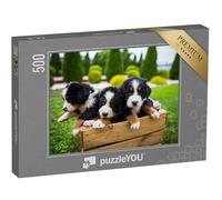 puzzleYOU : Puzzle de 500 pièces « Jeune Bouvier Bernois »